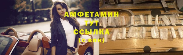 прущие грибы Абинск