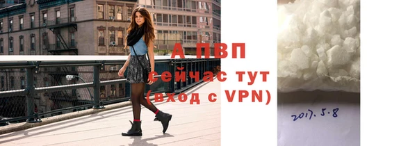 прущие грибы Абинск