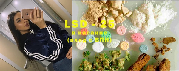 прущие грибы Абинск