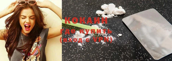 прущие грибы Абинск