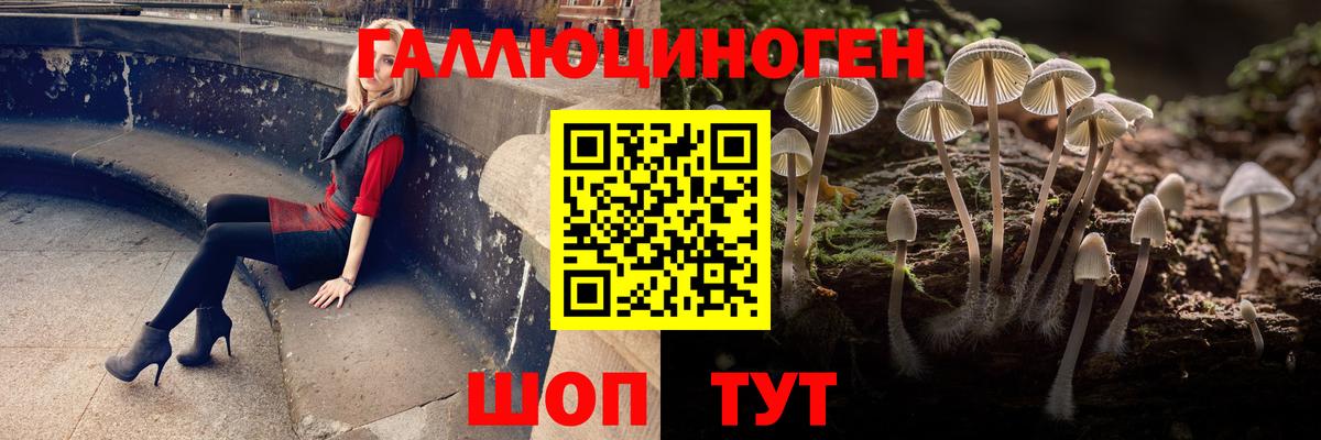 Азнакаево  Псилоцибиновые грибы Cubensis  Галлюциногенные грибы Magic Shrooms  Вход с VPN 